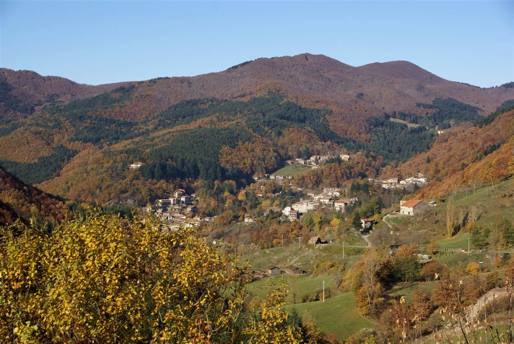 Badia